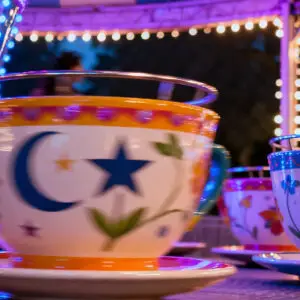 spin cup rides