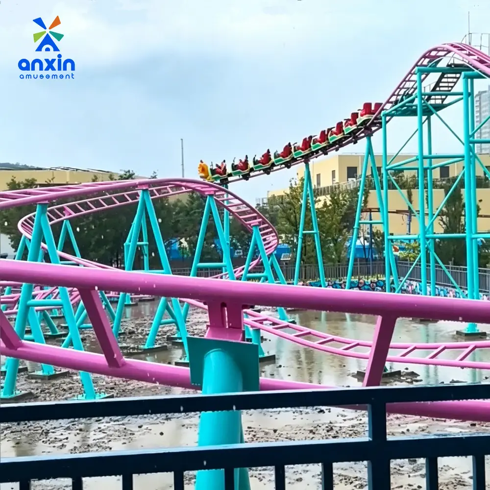 Type I Family Roller Coaster: Premium Mini Thrill Ride for All Ages