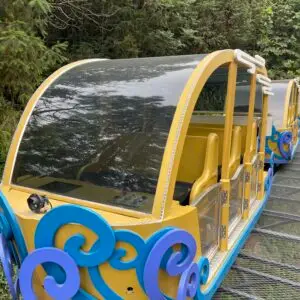 mountain rail car