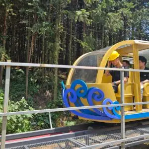 mountain rail car