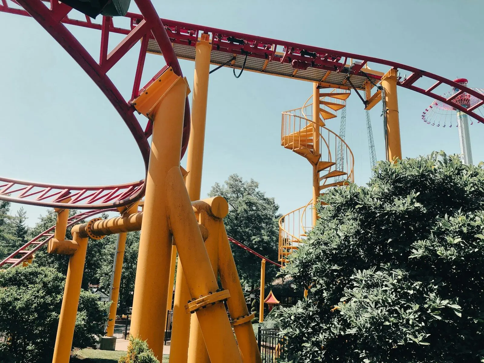 a roller coaster with trees
