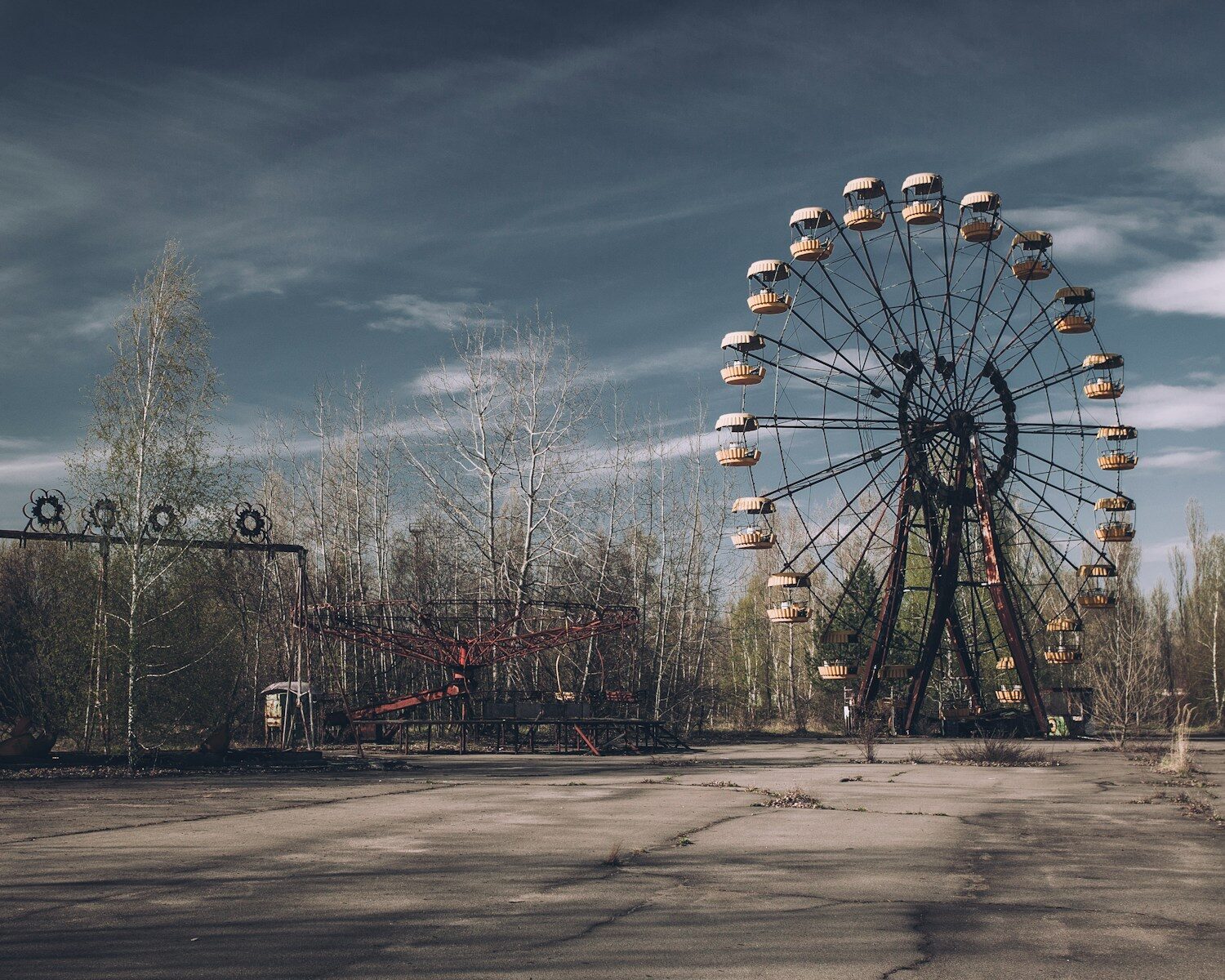 a large ferris wheel sitting in the middle of a forest