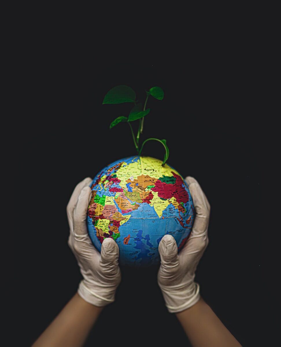 Hands in white latex gloves holding a globe with a small green plant