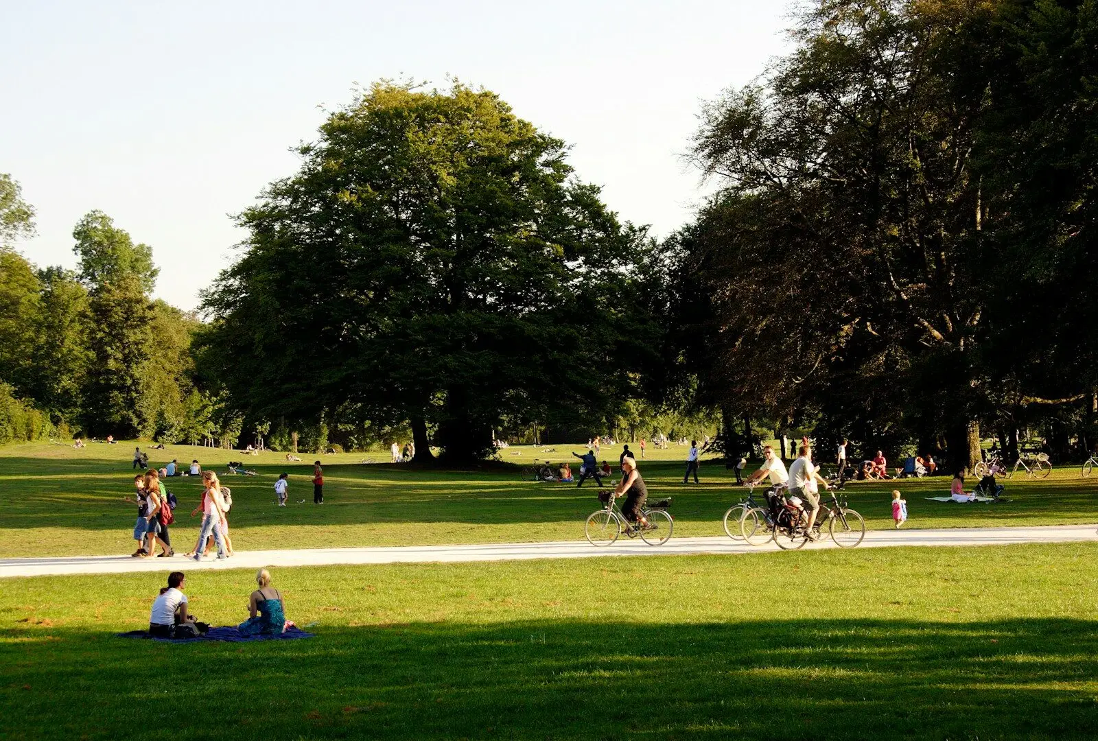 people relaxing and biking in sunny park