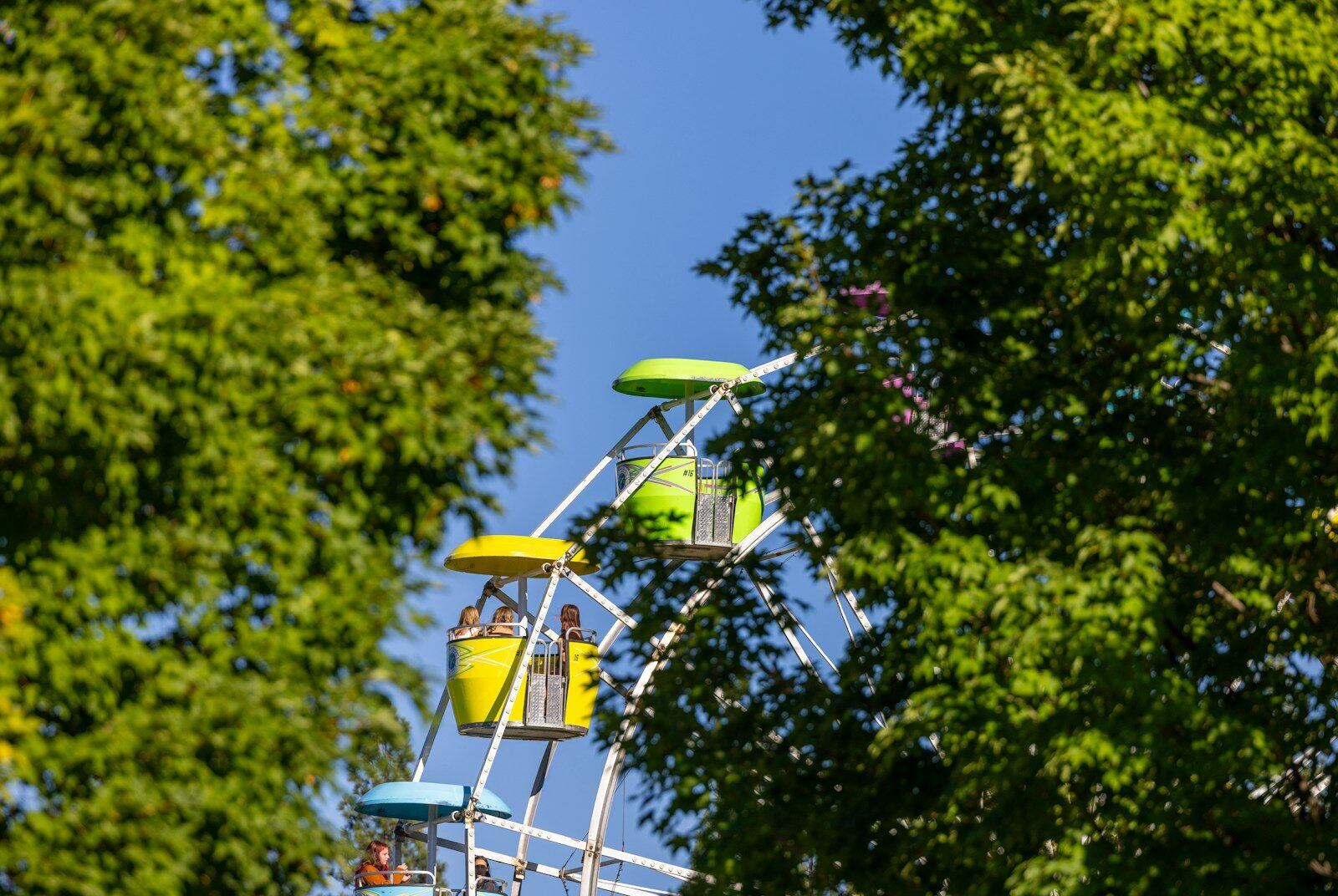 Colorful ferris wheel cars moving through green trees under a clear blue sky